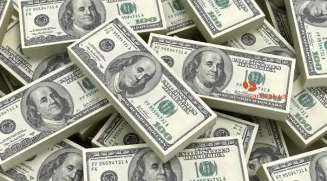 Dolar 6 TL'ye dayandı 