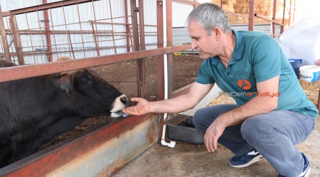 Konyaaltı Belediyesinden çiftçiye ücretsiz aşı
