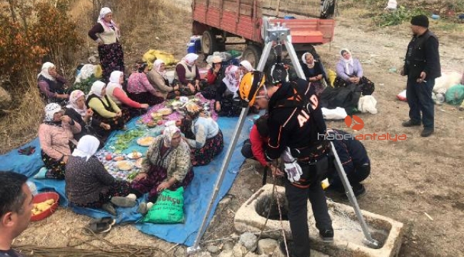 Kuyuya düşen tilki kurtarıldı, tarım işçileri izledi