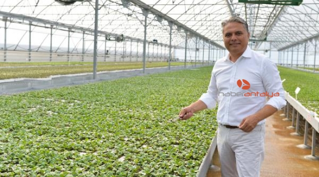 Muratpaşa bahçe bitkileri üretip satacak