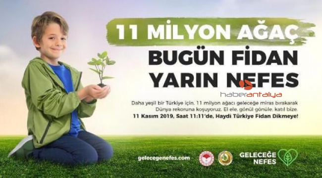 11 milyon fidan hedefi, 13 milyonu aştı