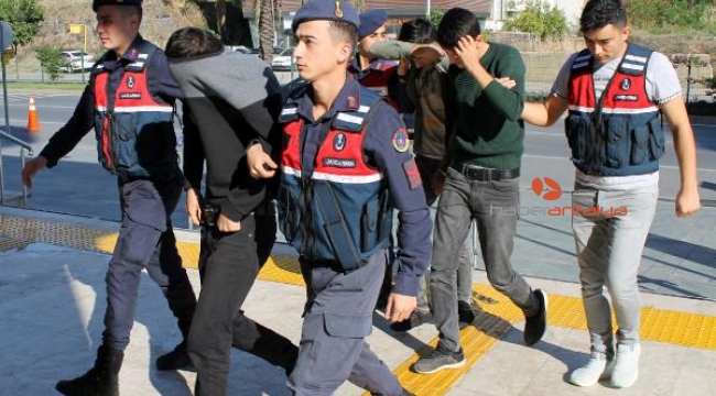 30 bin liralık avokado çalanlar yakalandı