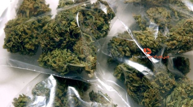 50 kilo skunk ile birlikte 30 bin lira ele geçirildi