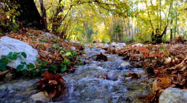 Antalya'da renklerin sonbahar dansı
