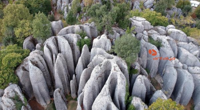 'Avatar' sahnesi değil 'Adam Kayalar'