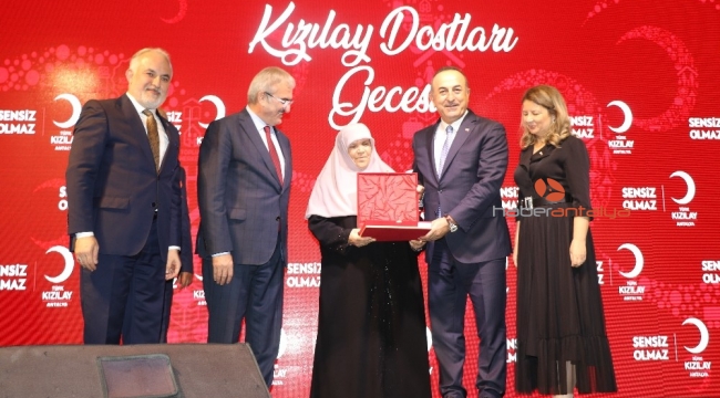 Bakan Çavuşoğlu: "Terör devleti kurmak isteyenlerin oyununu başlarına devirdik"