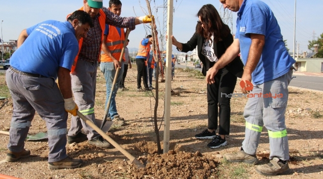 Büyükşehir'den milli ağaçlandırma gününe destek