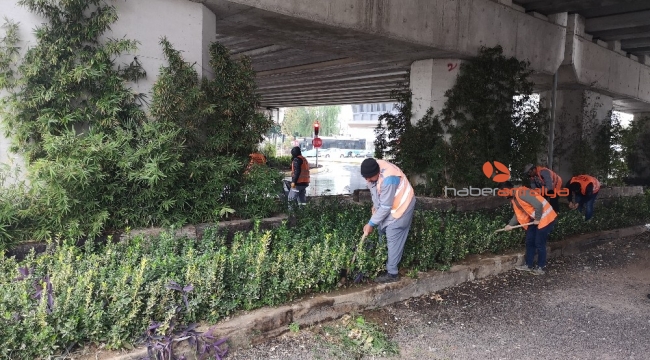 Yağmurdan devrilen ağaçlar kaldırıldı
