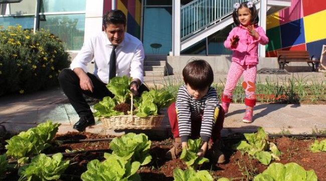Ekolojik Kreş'te öğrenciler çiftlik hayatını öğreniyor