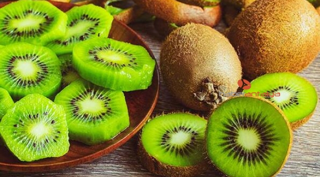 Gazipaşa'da kivi hasadı başladı