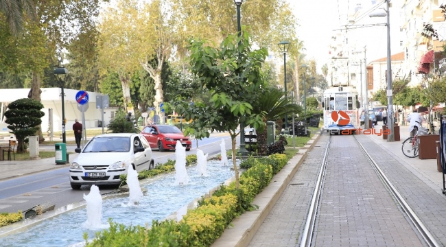 Işıklar çiçek gibi oldu ...