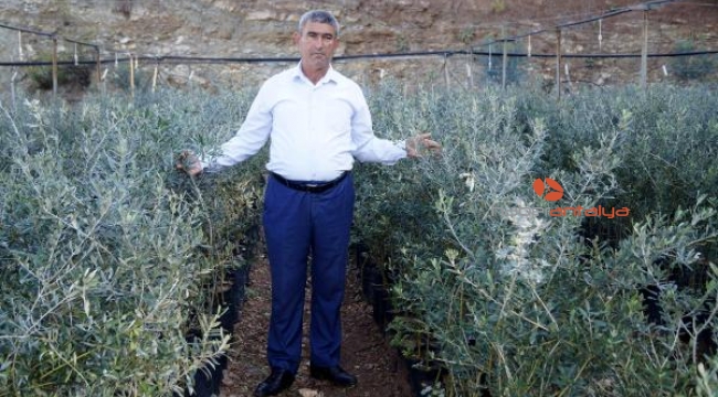 Kumluca Ziraat Odası Başkanı Kökce: Narımıza sahip çıkalım