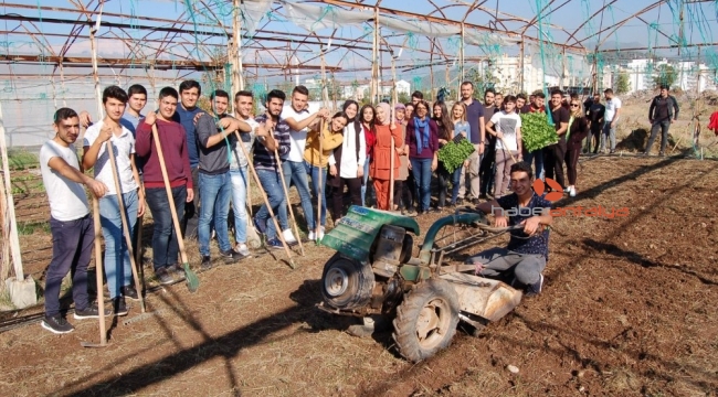 MYO öğrencileri uygulamalı kış sebzesi yetiştirme eğitimi yaptı