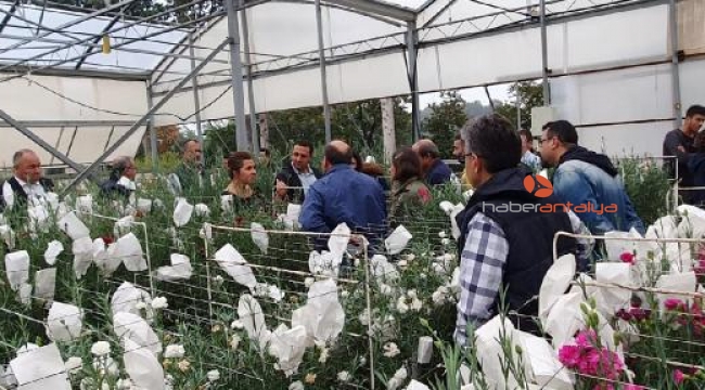Öğretmenler BATEM seralarını inceledi