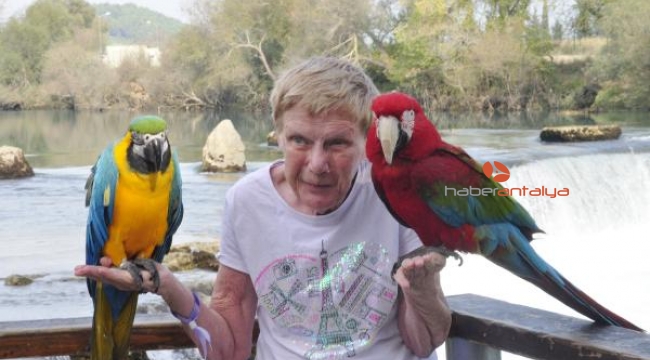Papağanlar, Manavgat Şelalesi'nin maskotu oldu