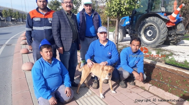 6 aydır 'Gel Oğlum' ile mesai yapıyor, onsuz adım atamıyorlar