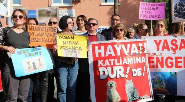 Alanya'da hayvanseverden protesto
