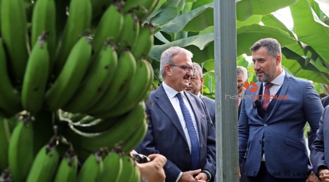 'Kimse tesisine ithal muz koymasın' çağrısı