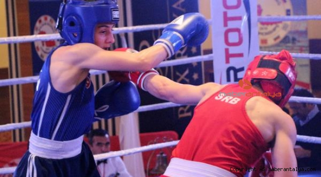 Balkan Büyükler Boks Şampiyonası'nda Heyecan Sürüyor