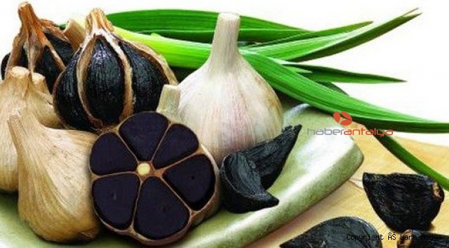 Kanserin doğal kalkanı 