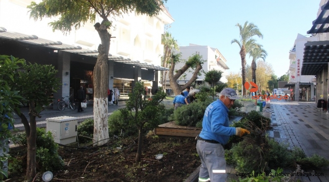 Kemer'de peyzaj çalışması