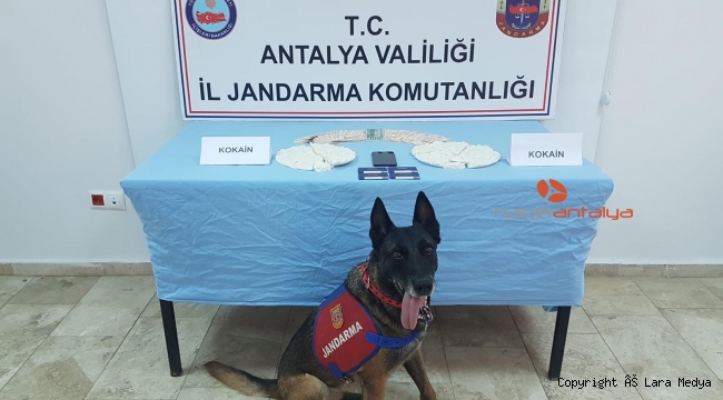 Laptop çantasında 1 milyon 250 bin liralık kokain ele geçirildi