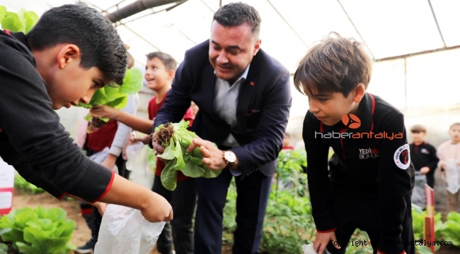 Minikler kurdukları serada organik sebze yetiştiriyor