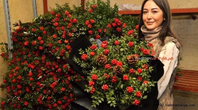 Noel için Avrupa'ya 70 milyon dal çiçek