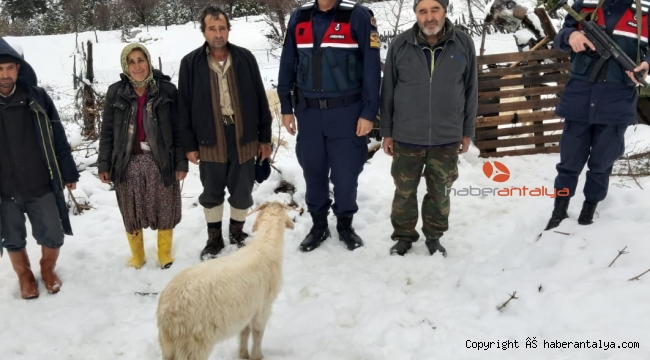 Yaylada 120 hayvan ile mahsur kaldılar