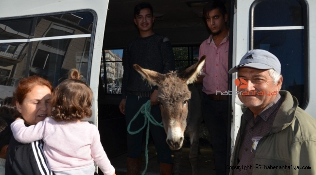 Yaylaya terk edilen eşek için seferber oldular