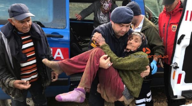 Zeytin toplarken kaybolan Şerife nineyi jandarma buldu