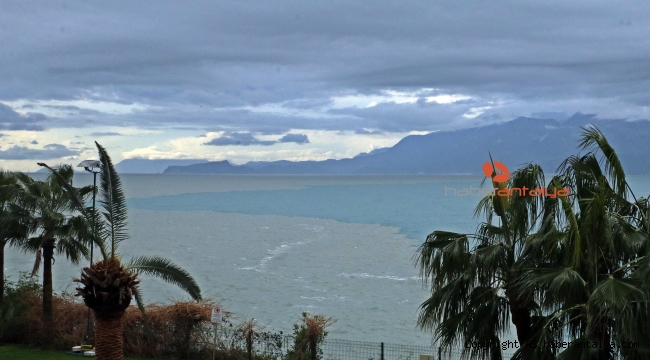 Antalya Körfezi'nde kahverengi ile mavinin dansı