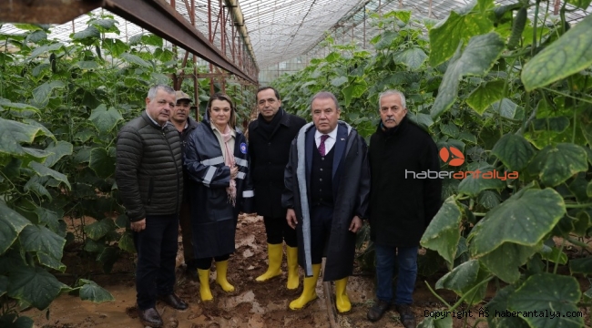 Başkan Böcek: "Yaralar sarılacak"