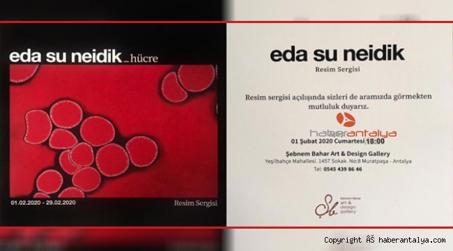 Eda Su Neidik / Hücre Resim Sergisi Antalya' da