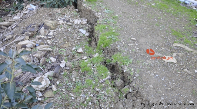 Gazipaşa'da heyelan muz ağaçlarını yuttu!