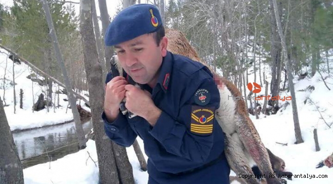 Kardaki lastik izleri vahşete götürdü!