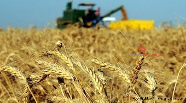Kurtarma operasyonunda kredi sermayede kaldı