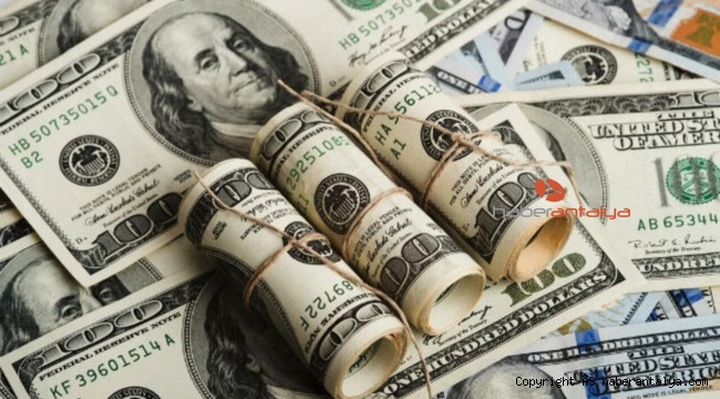 Merkez Bankası'ndan yılın ilk anketi