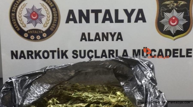 Polisin şüphe üzerine durdurduğu araçtan esrar çıktı