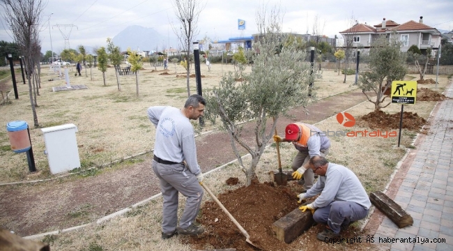 Döşemealtı Belediyesi, Elazığ depreminde hayatını kaybedenleri unutmadı