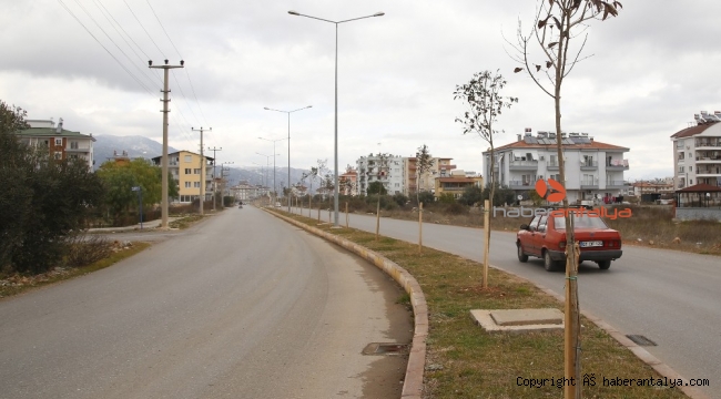 Döşemealtı'nda ağaçlandırma seferberliği