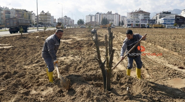 Şafak Mahallesine portakal bahçesi