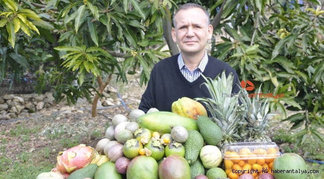 Tropikal meyveler yok satıyor