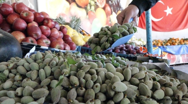 Antalya'da çağla sezonu açıldı