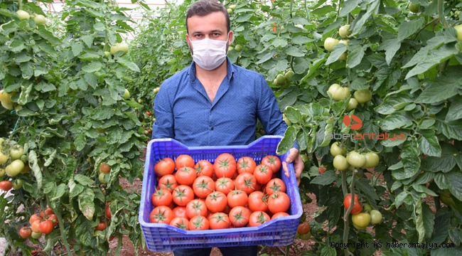 Seralarda üretim hız kesmiyor !