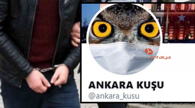 ANKARA KUŞU TUTUKLANDI