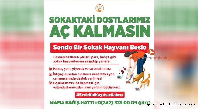 Karaloğlu'dan sokak hayvanları için yardım kampanyası 