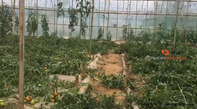 Bir gecede 100 bin liralık zarar !
