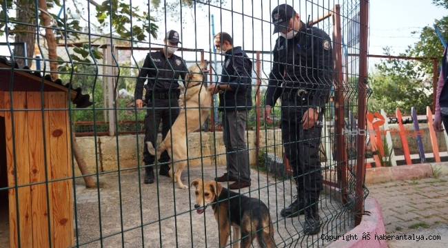 Can dostlarımız aç bırakılmadı