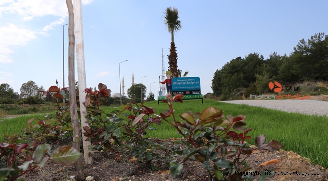 Daha yeşil bir Alanya için çalışmalar sürüyor